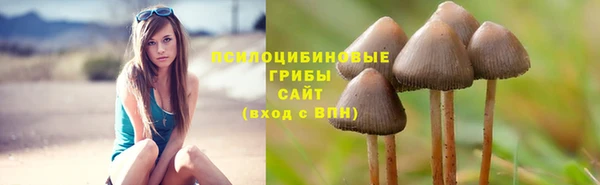 дмт Алзамай
