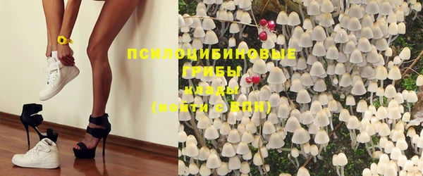 не бодяженный Алексин