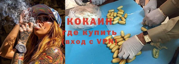 не бодяженный Алексин