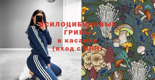 ECSTASY Алексеевка